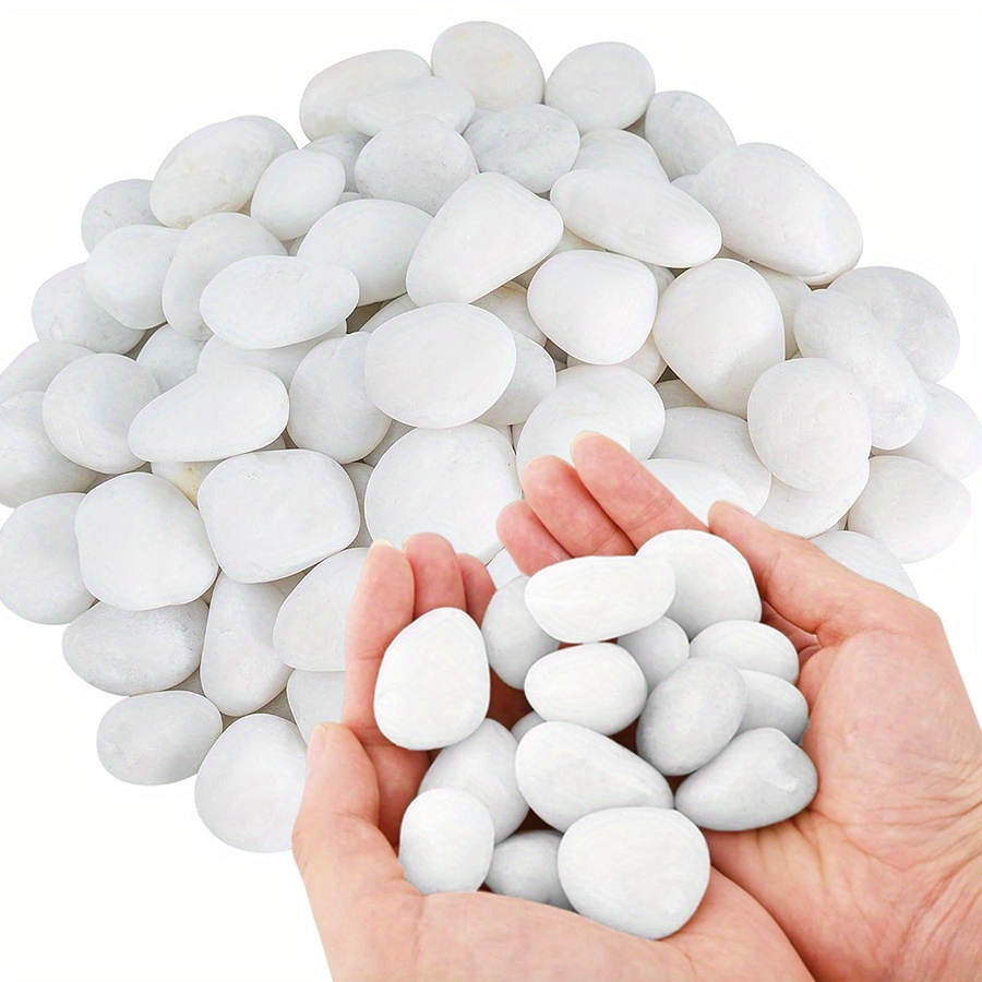 Art Craft Vase - Cerfsets naturels blancs hautement polis, 200/400g,