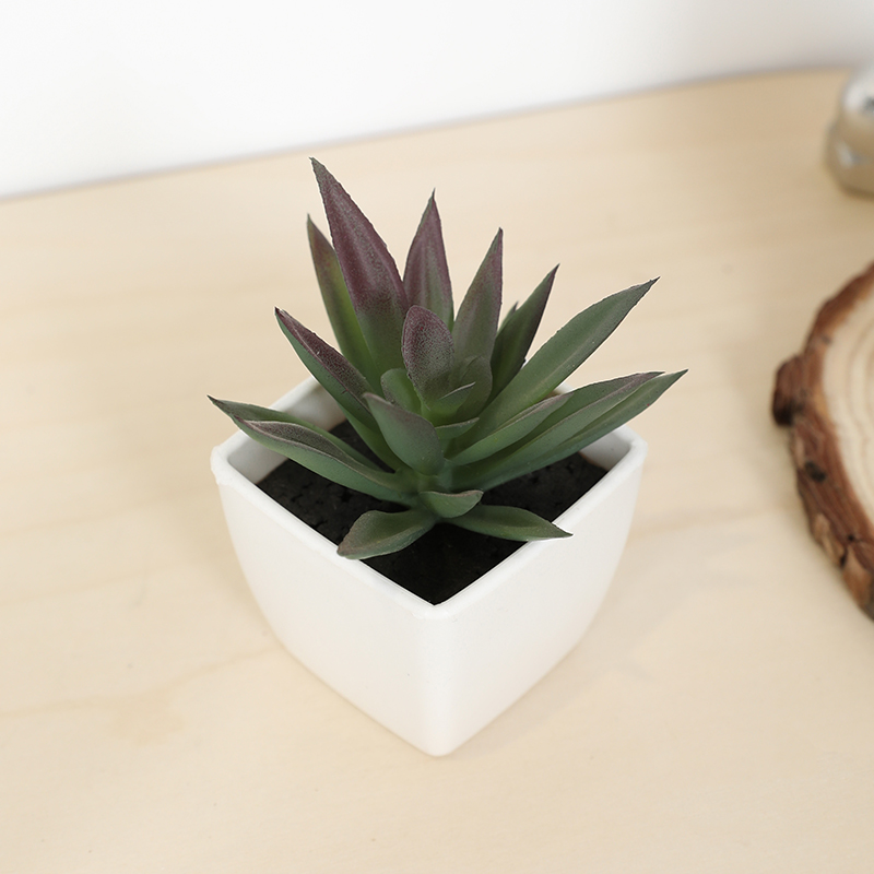 Art Craft Vase - Mini tasse de fée succulente artificielle,