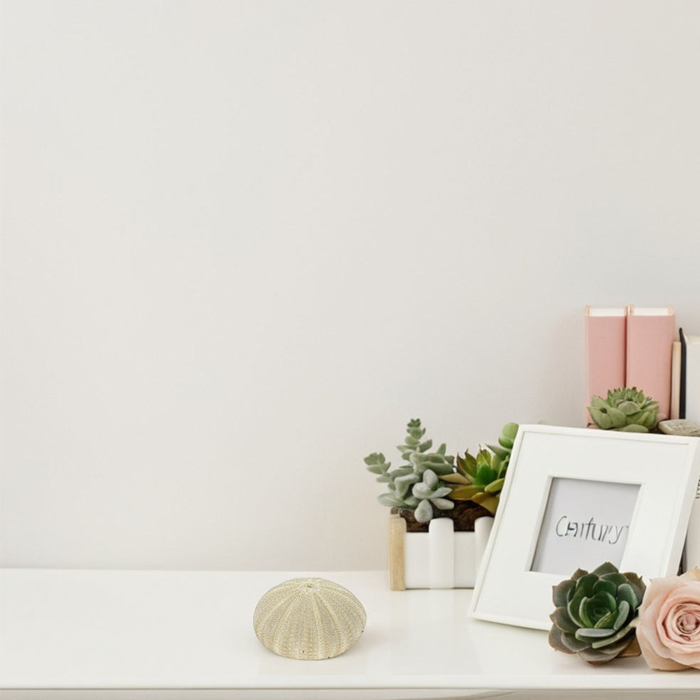 18 coquilles d'ormeaux pour re - Art Craft Vase avis et prix