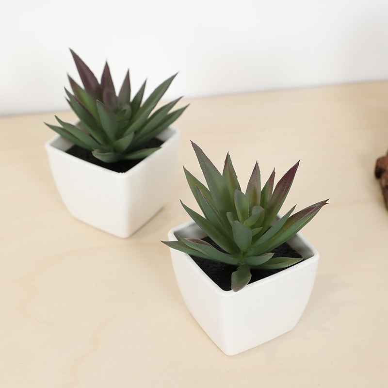 Mini tasse de fée succulente a - Art Craft Vase avis et prix