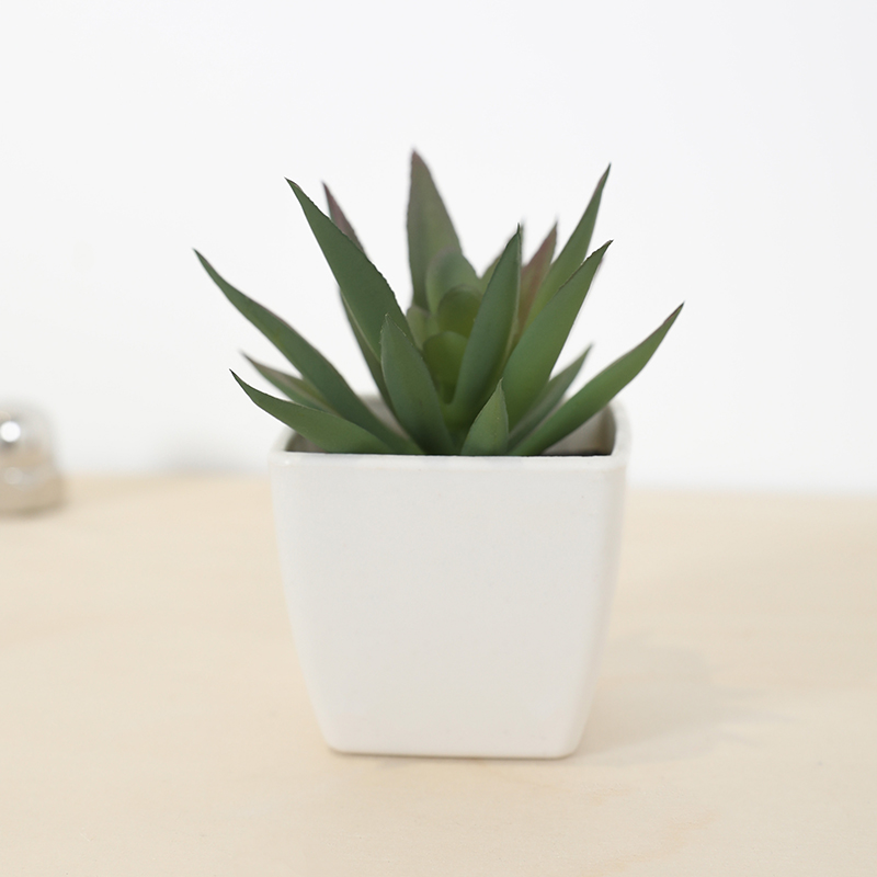 Mini tasse de fée succulente a - Art Craft Vase avis et prix